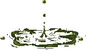 0797[Y+20]